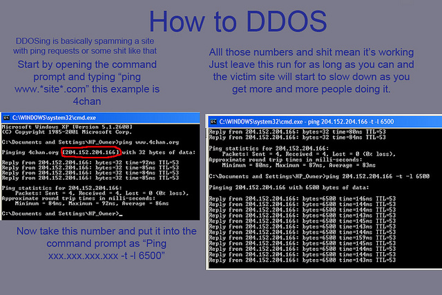 free ddos booter