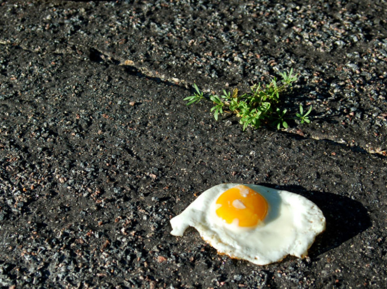 https://cdn.arstechnica.net/wp-content/uploads/2018/01/fried-egg-800x598.jpg