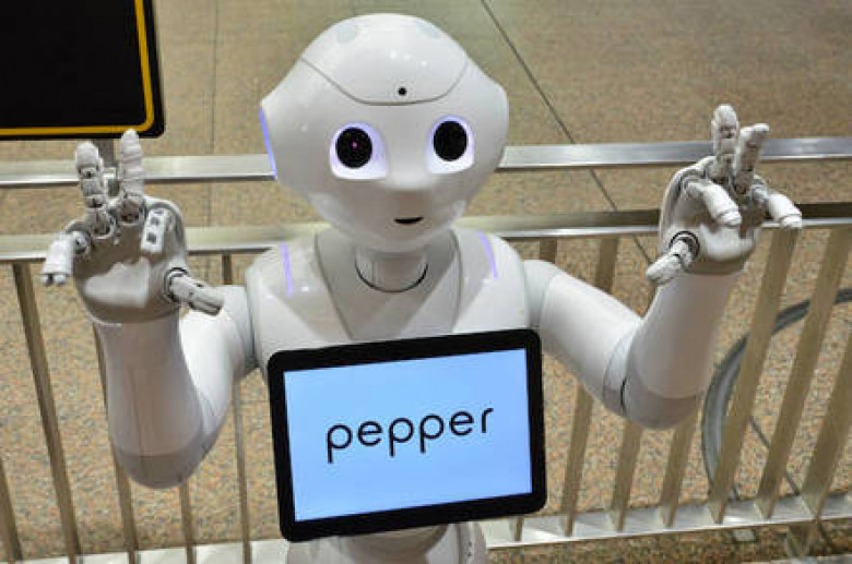 https://regmedia.co.uk/2018/05/29/shutterstock_pepper_robot.jpg?x=442&y=293&crop=1