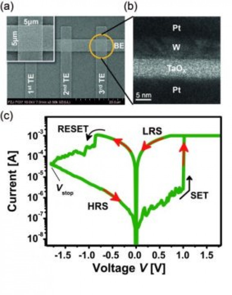 https://images.sciencedaily.com/2017/01/170103101808_1_540x360.jpg