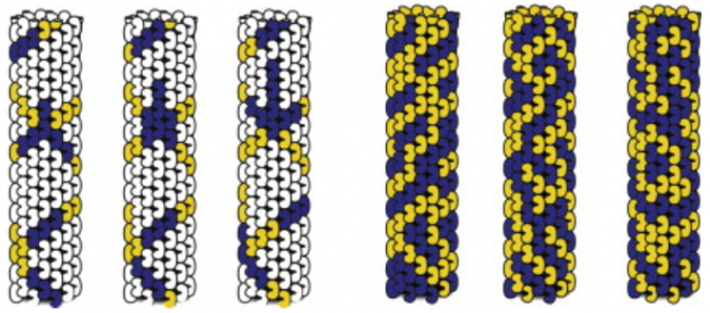 http://www.kurzweilai.net/images/Microtubule-automaton.png