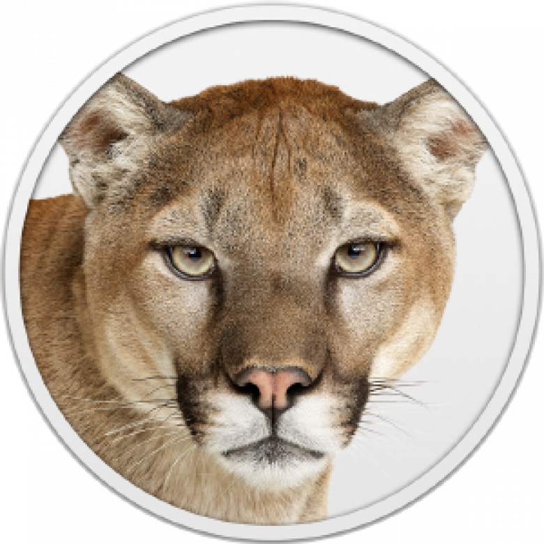 http://en.wikipedia.org/wiki/OS_X_Mountain_Lion