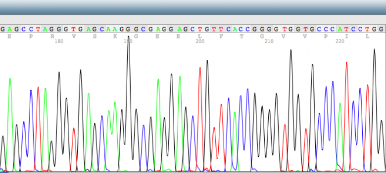 dna sequence analysis