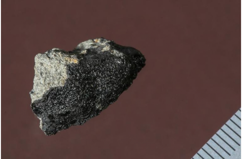 http://www.cnet.com/news/martian-meteorite-may-contain-evidence-of-extraterrestrial-life/#ftag=CAD590a51e