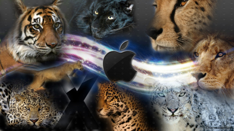 http://9to5mac.files.wordpress.com/2012/11/mac_os_x_cats_background_by_charmanderfan7-d39bjlc.jpg?w=704&h=395&h=396