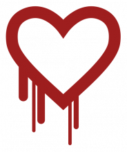 http://en.wikipedia.org/wiki/Heartbleed