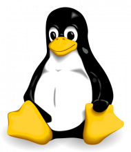 http://en.wikipedia.org/wiki/Linux