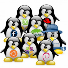 http://www.investintech.com/resources/blog/wp-content/uploads/2013/01/Tux-Linux-Distros.jpg