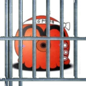 http://sophosnews.files.wordpress.com/2011/07/ika-tako-jail-170.jpg?w=640