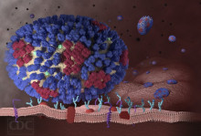 http://cdn.arstechnica.net/wp-content/uploads/2014/03/influenza-virus-nolabels-640x432.jpg