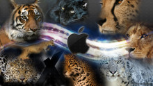 http://9to5mac.files.wordpress.com/2012/11/mac_os_x_cats_background_by_charmanderfan7-d39bjlc.jpg?w=704&h=395&h=396